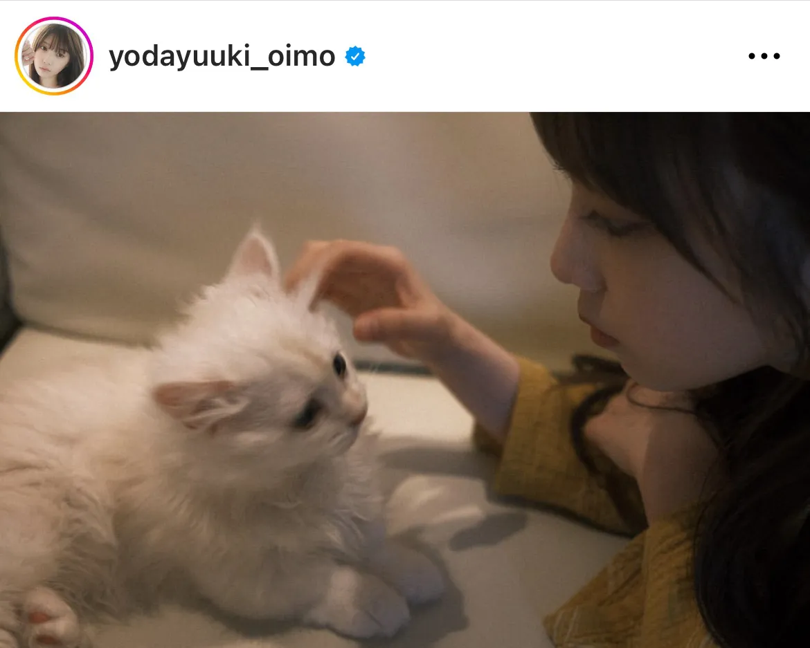 【写真】猫に負けない可愛さ…与田祐希と猫とのツーショット