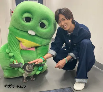 <イット!>Snow Man阿部亮平のSDGs企画第9弾は「水族館のSDGs」 マゼランペンギンの赤ちゃんとの触れ合いも