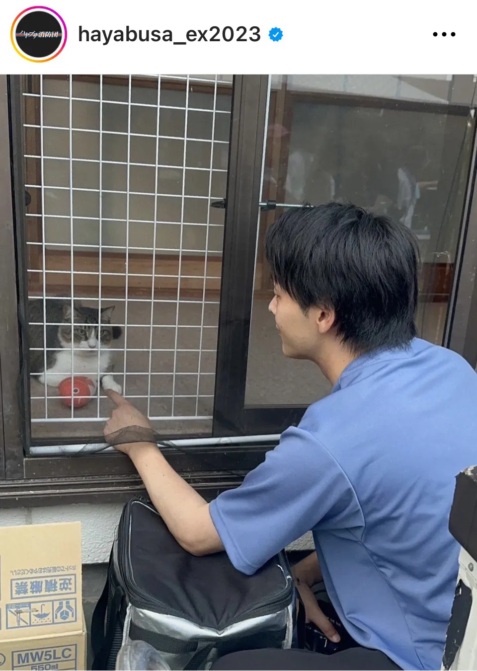 【写真】”猫になりたい…”中村倫也が撮影現場の猫とたわむれる