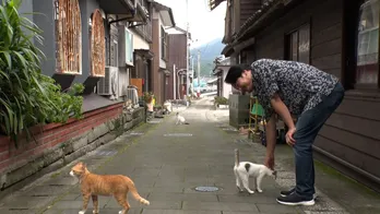 小田井涼平「僕の前世はイルカだった」イルカウォッチング開始3分で遭遇の奇跡