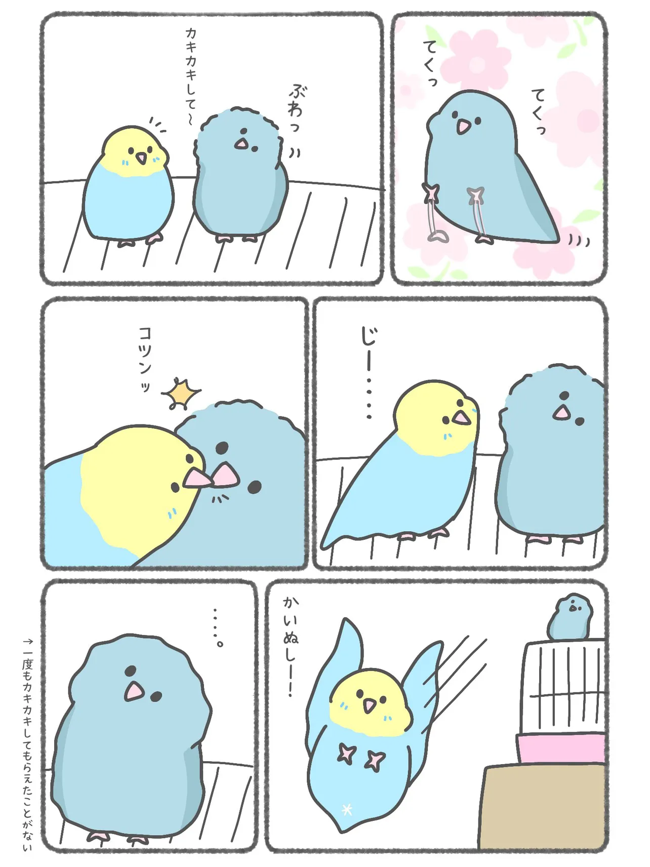  『カキカキされるのが叶わないインコ』