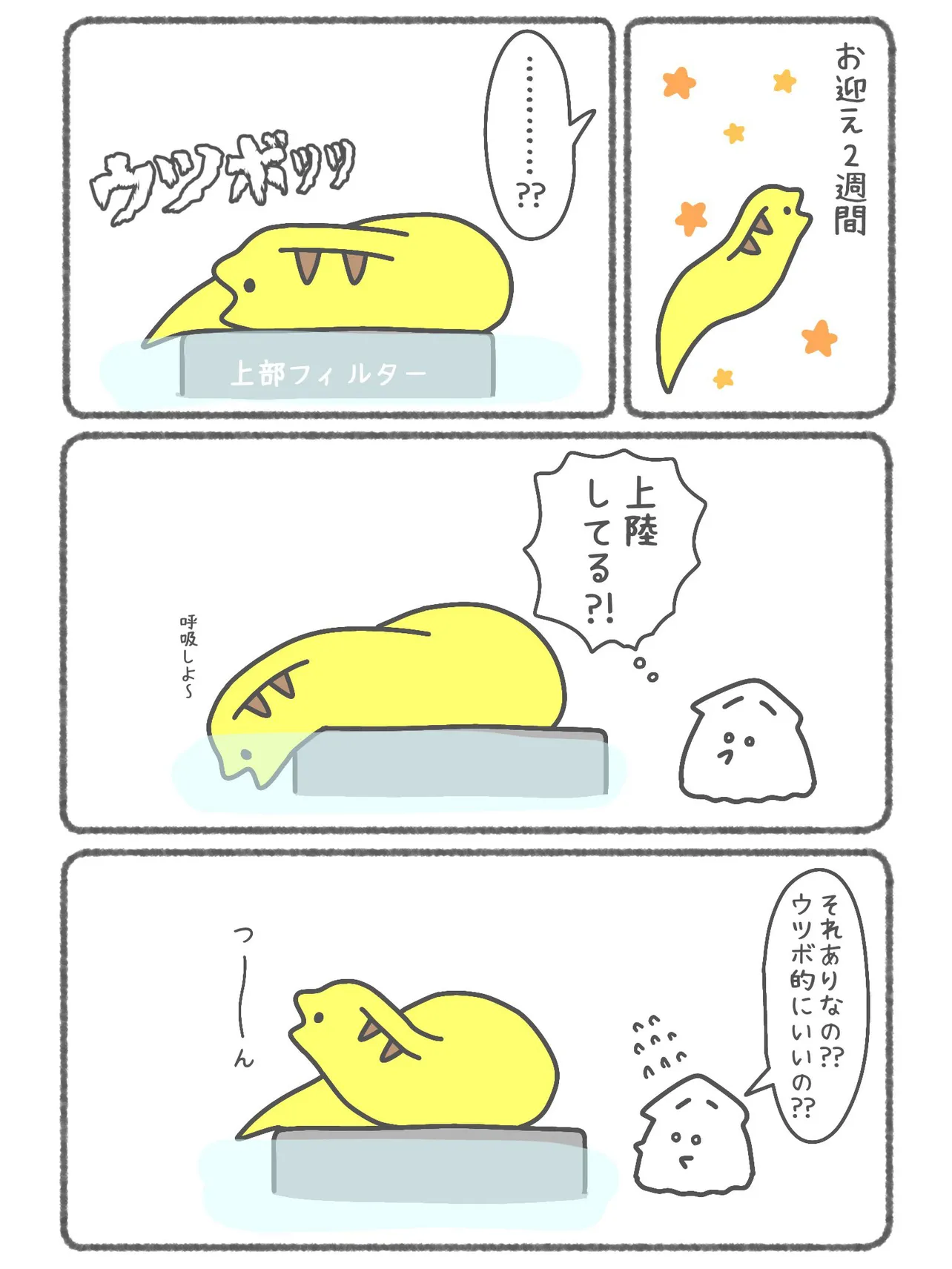 『海のウツボが上陸した話』(1/3)