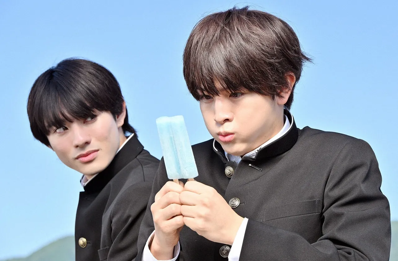 君には届かない DVD フォンタブ カードセット付き 柏木悠 前田拳太郎 君には届かない DVD フォンタブ カードセット付き 柏木悠 前田拳