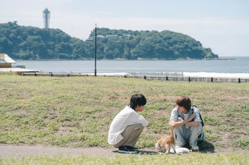 【写真】龍司(日向亘)＆天(大倉空人)&猫のキュートな3SHOT