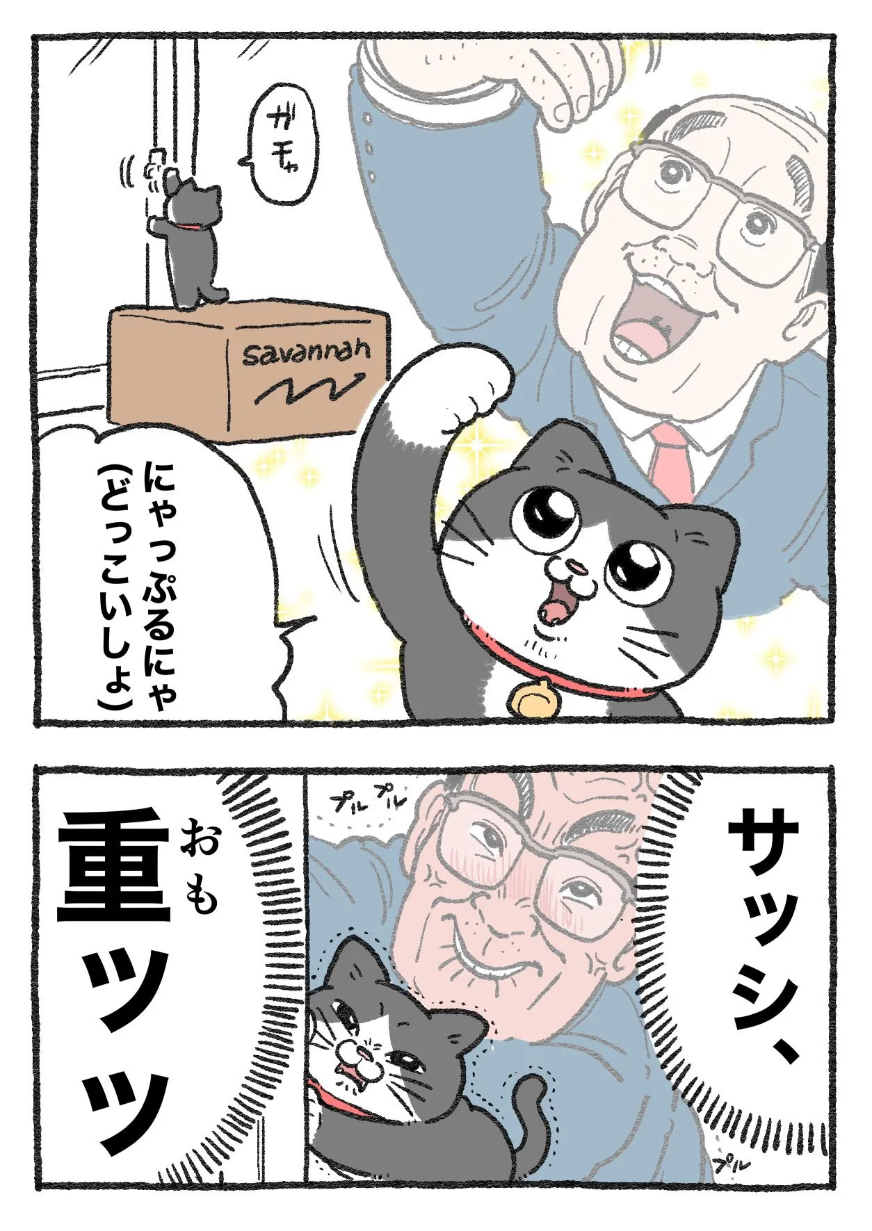 「ねこに転生したおじさん」(2/38)