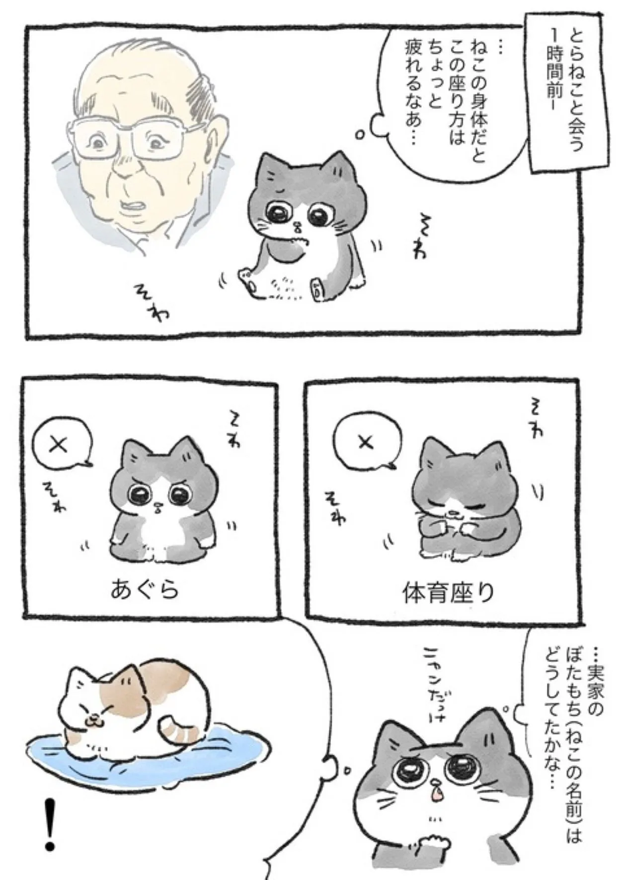 「ねこに転生したおじさん」(9/38)