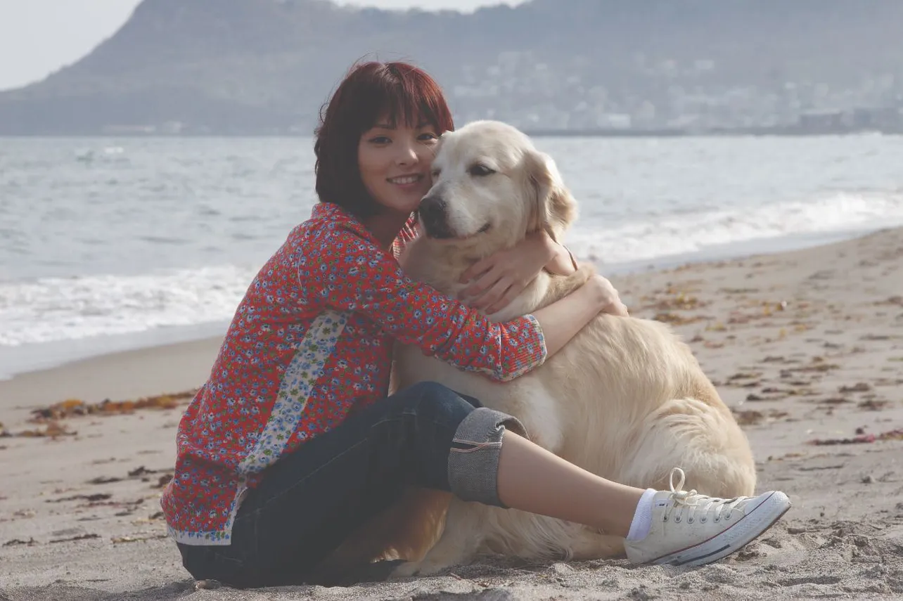 【写真】「犬と私の10の約束」でゴールデン・レトリーバーを抱きしめる田中麗奈