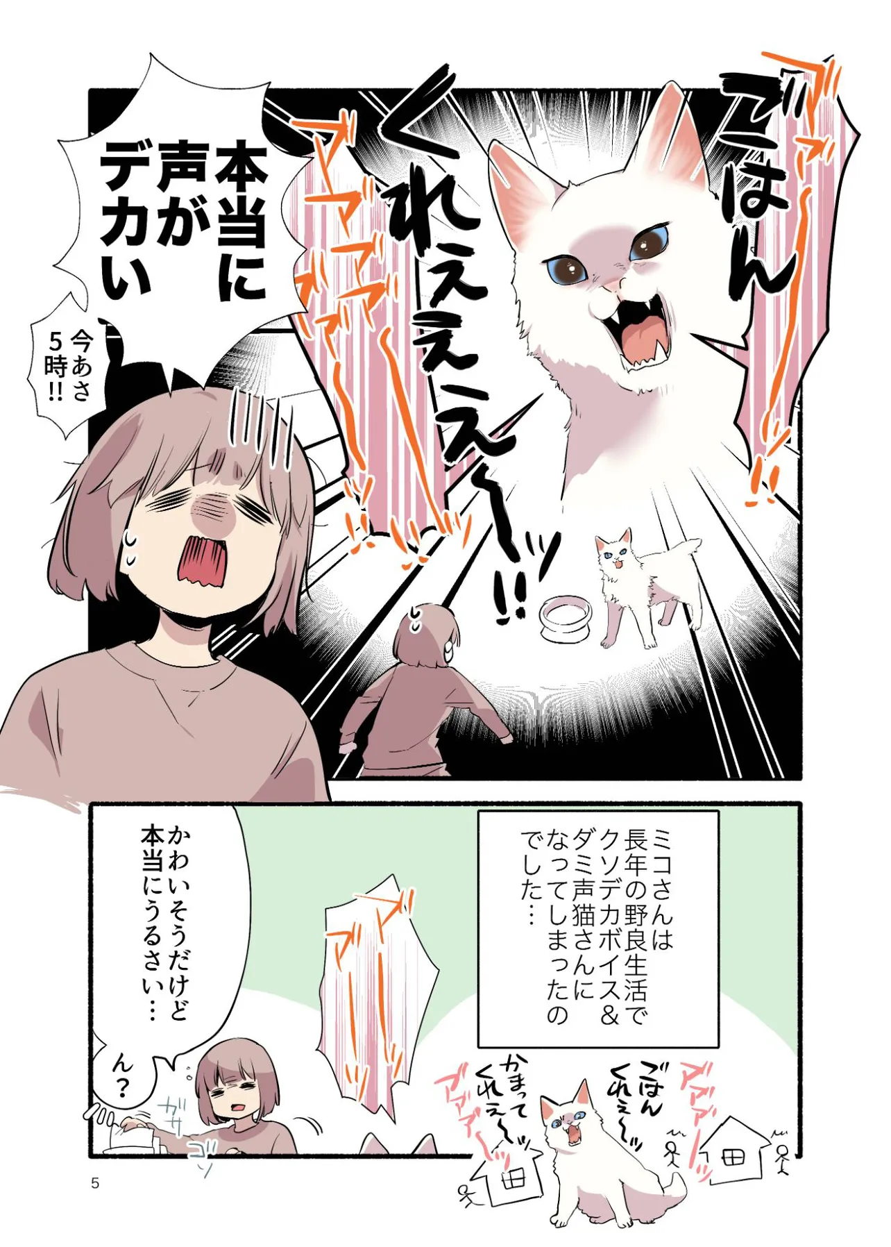 漫画】元野良猫が初のウェットフードに大ショック めちゃくちゃ