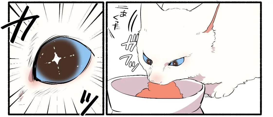 【漫画】元野良猫が初のウェットフードに大ショック