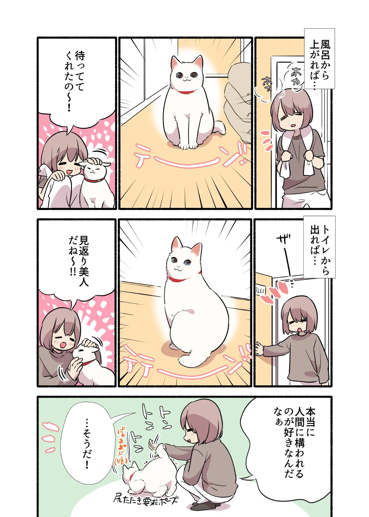 「白い猫と暮らしている漫画」より