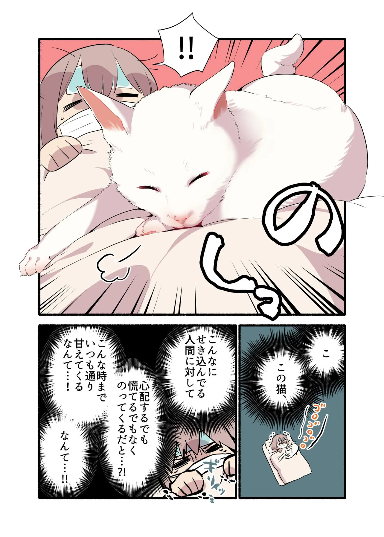 「白い猫と暮らしている漫画」より