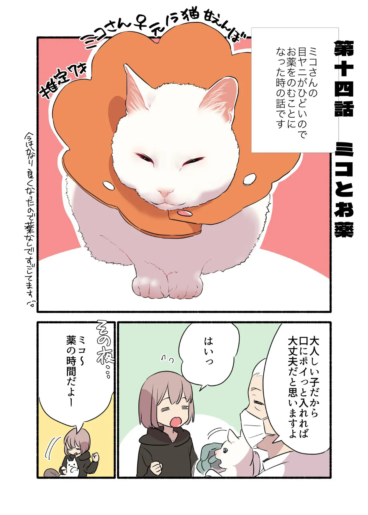 「白い猫と暮らしている漫画」より