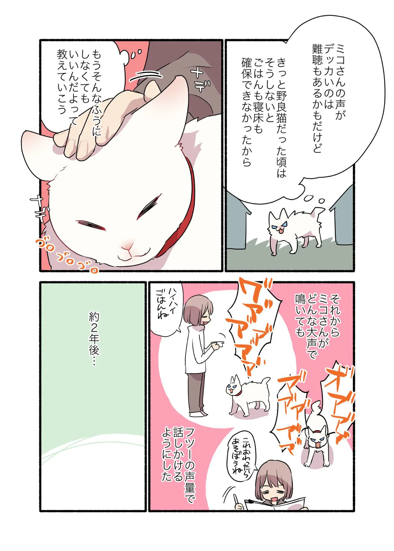 「白い猫と暮らしている漫画」より