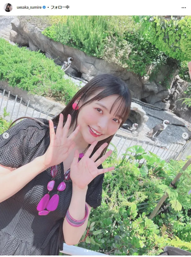 上坂すみれ、ボディラインあらわな黒ワンピース姿で水族館へ 「みれさんいつ見ても可愛くて綺麗です」の声多数