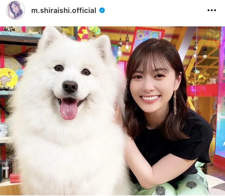  【写真】白石麻衣、犬が大きい？まいやんの顔が小さすぎる？犬と仲むつまじいショット