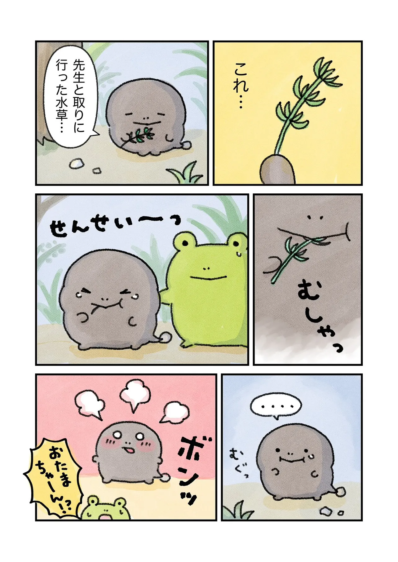 カエルになりたい（けど、なれない）おたまちゃんのお話13