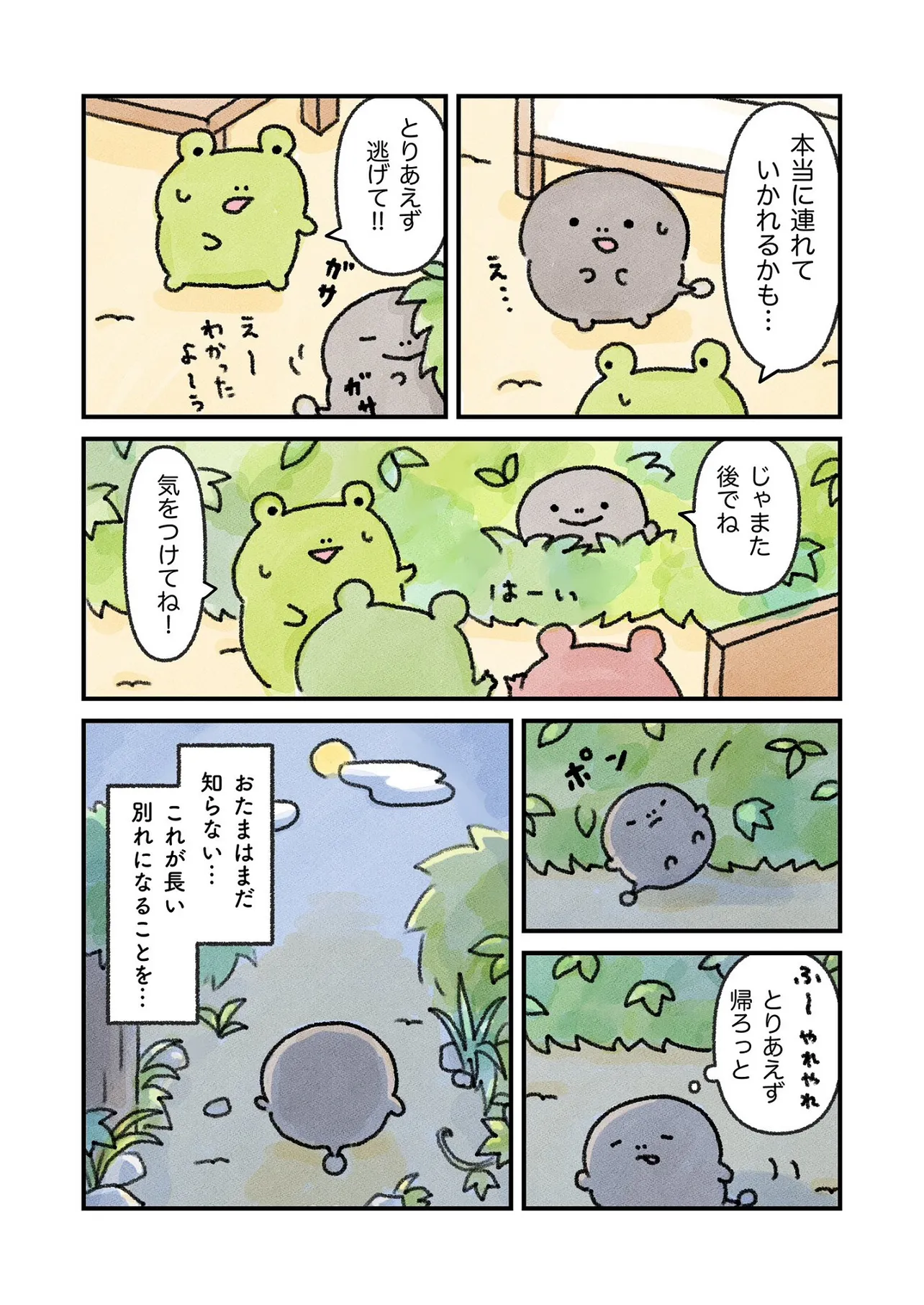 カエルになりたい（けど、なれない）おたまちゃんのお話20