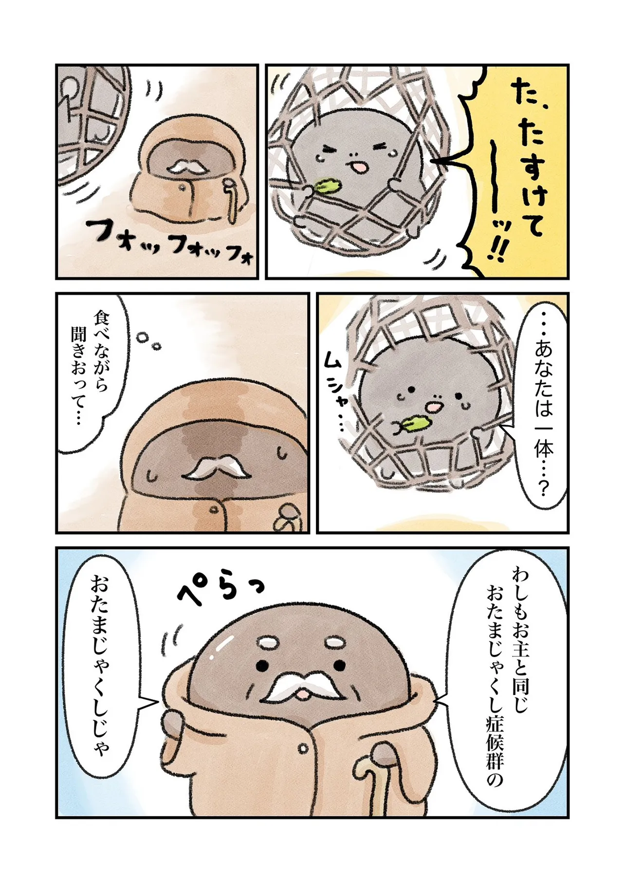 カエルになりたい（けど、なれない）おたまちゃんのお話32