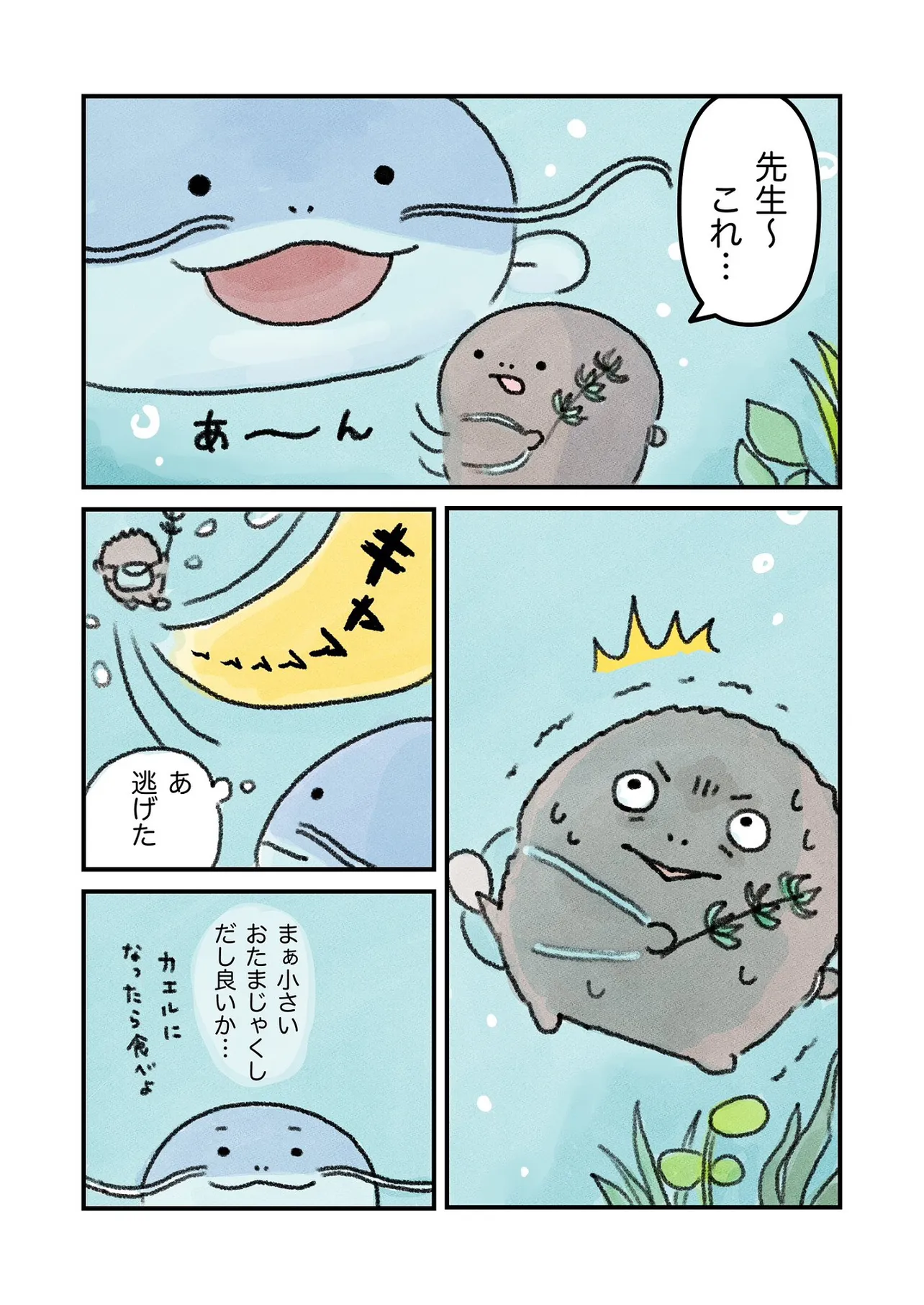 カエルになりたい（けど、なれない）おたまちゃんのお話⑨