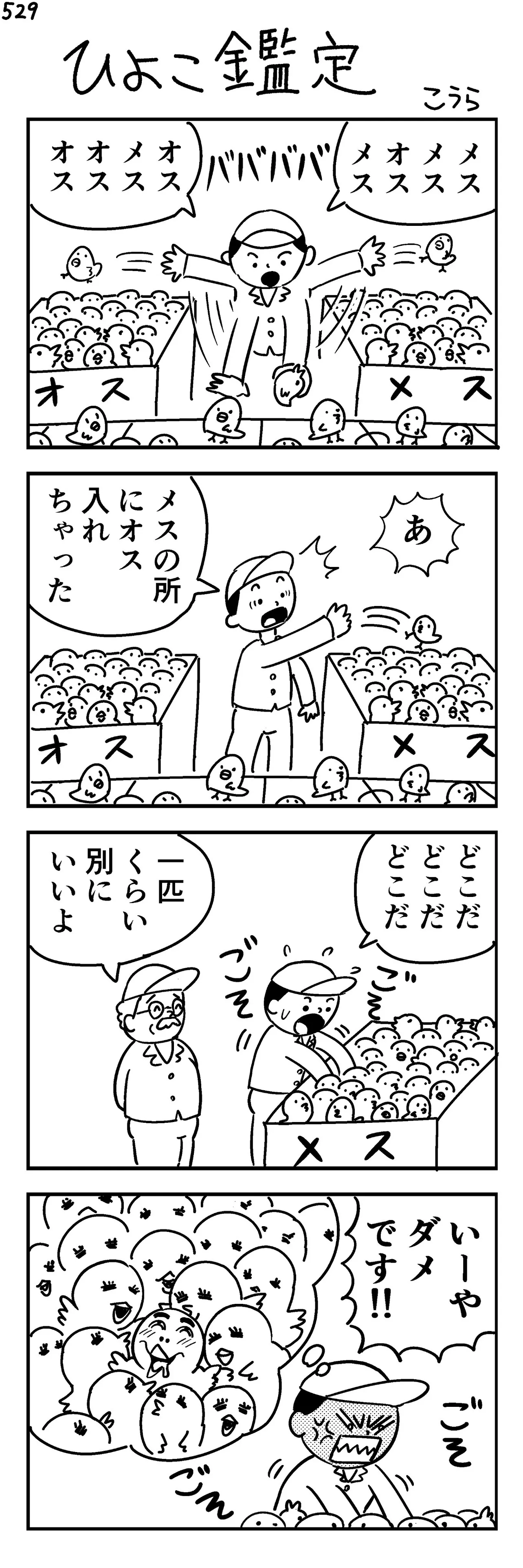 『ひよこ鑑定(529)』