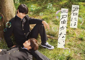 前田拳太郎×柏木悠W主演ドラマ「君には届かない。」Blu-ray&DVD BOX発売決定