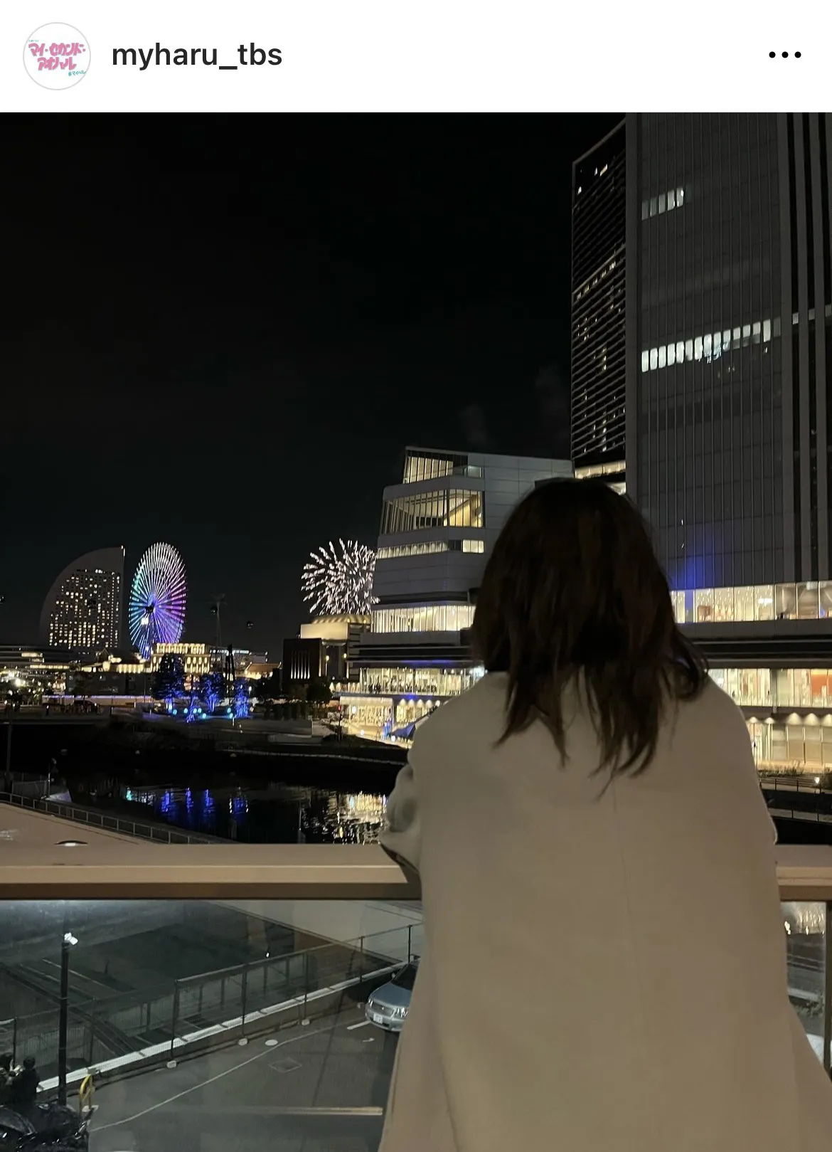 「切ない…」広瀬アリス“佐弥子”が横浜の夜景を眺める後ろ姿