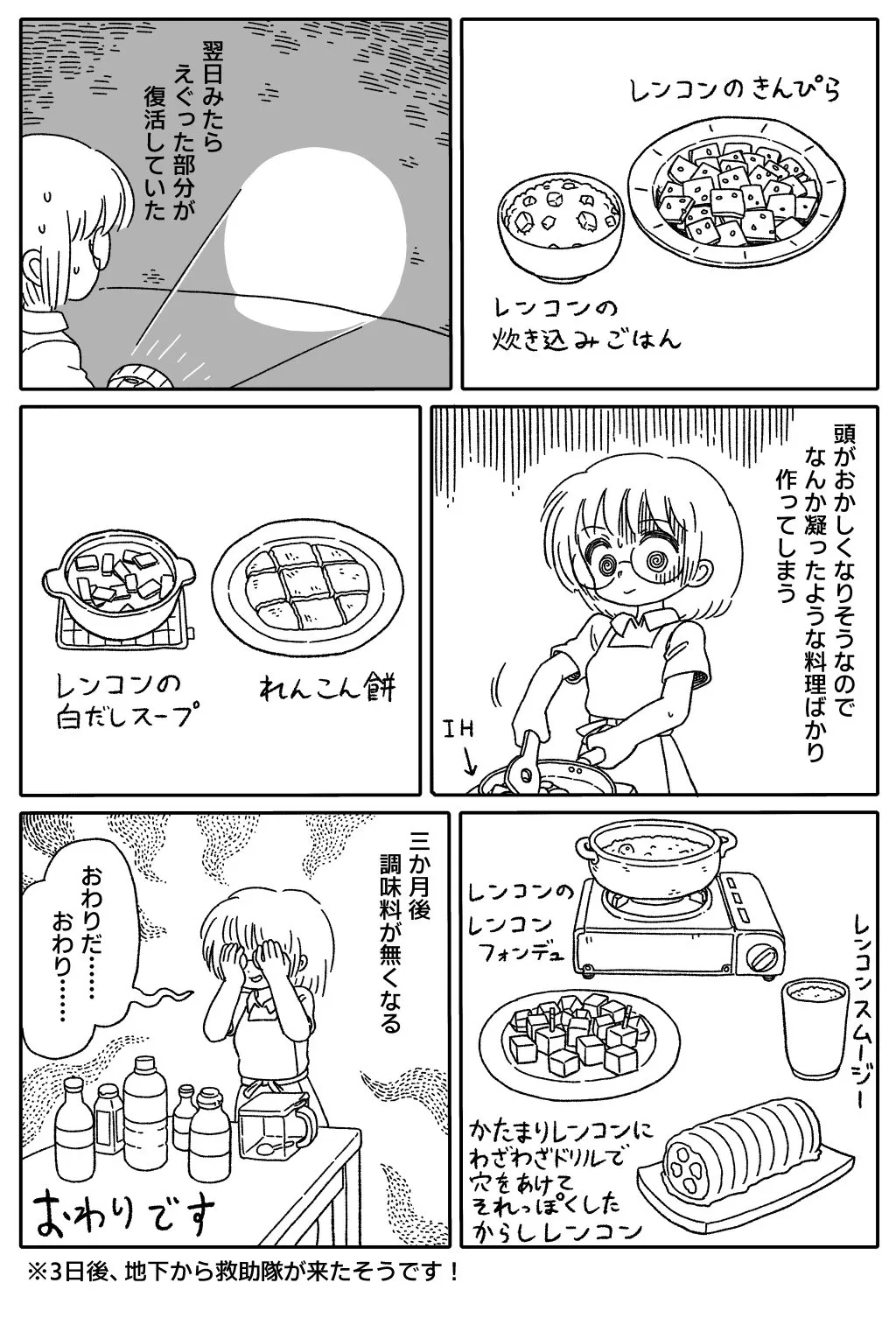 れんこん(カット済み)(巨大)(3／3)