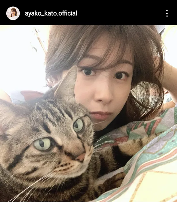 愛猫と一緒にベッドで横になるリラックスショットの加藤綾子