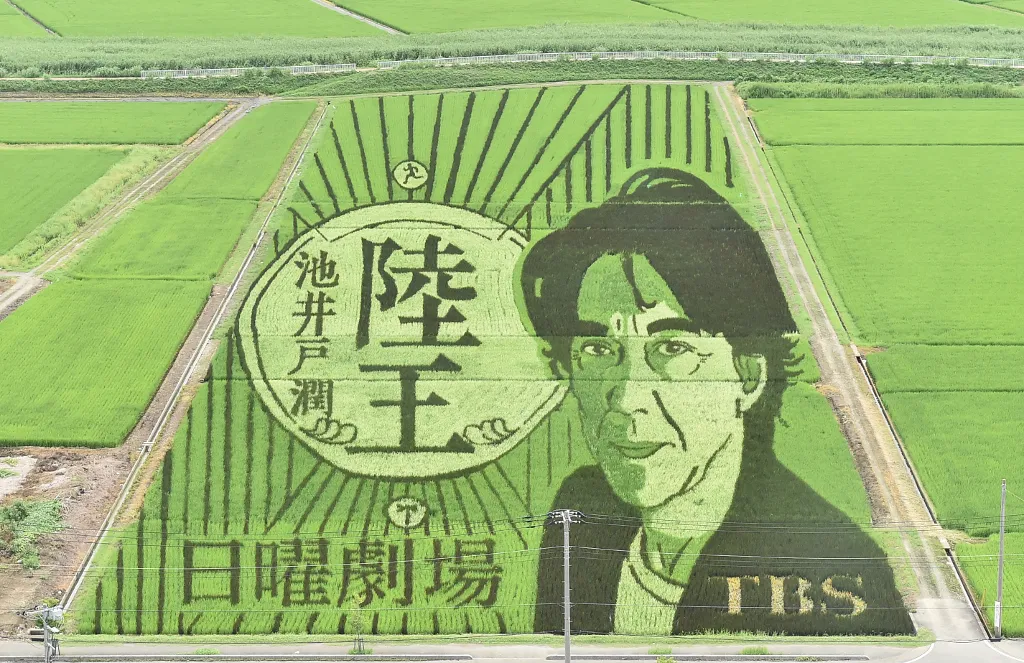 ドラマ「陸王」の田んぼアートは、埼玉・行田市「古代蓮の里」で公開されている