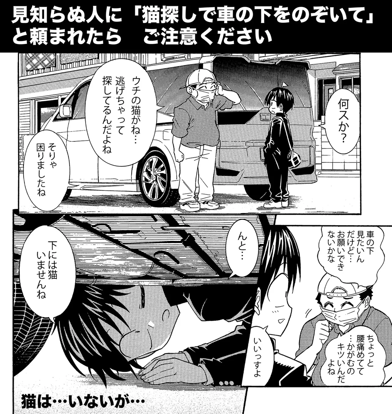 『見知らぬ人に「猫探しで車の下をのぞいて」と頼まれたら注意してください』(1/4)