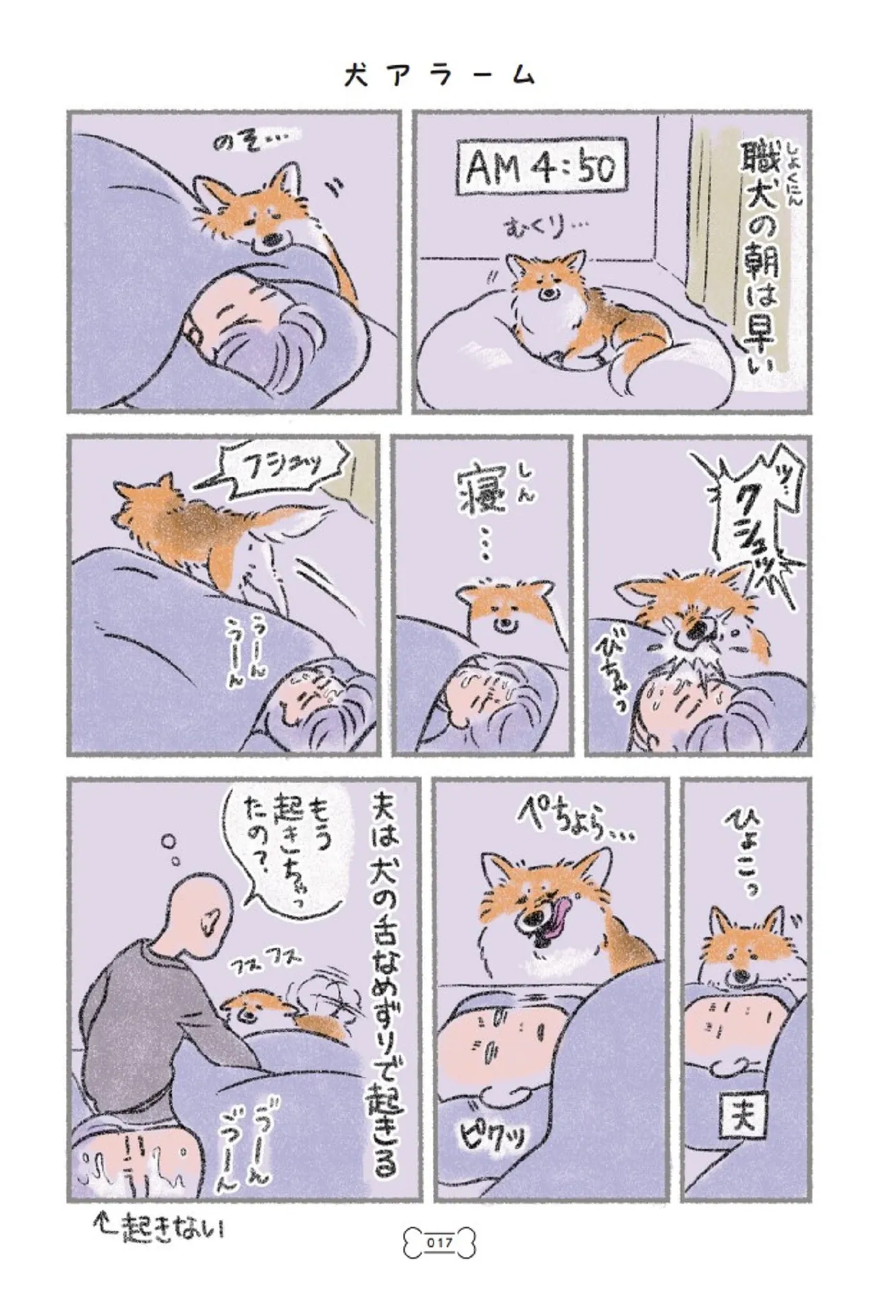 犬を揉む12