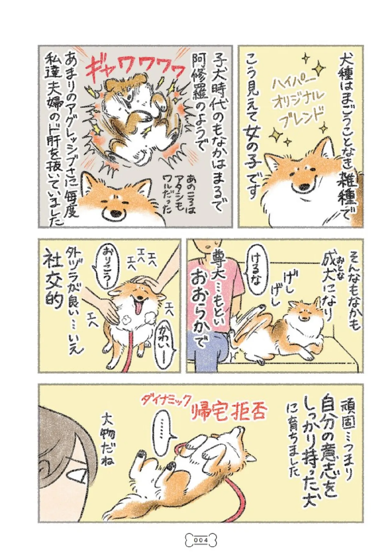 犬を揉む②