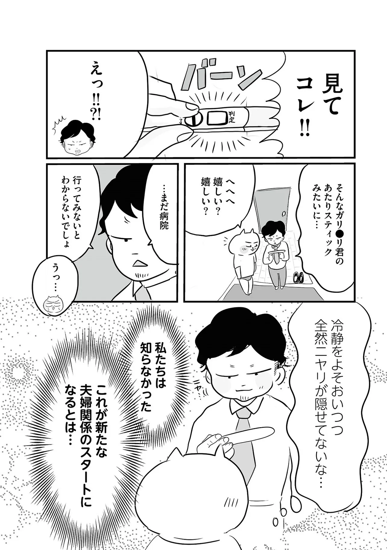 妊娠が思ってたんと違いすぎた11