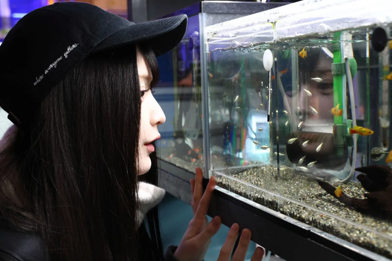 【写真】横顔も美しい…熱帯魚に釘付けの山本望叶“実々花”