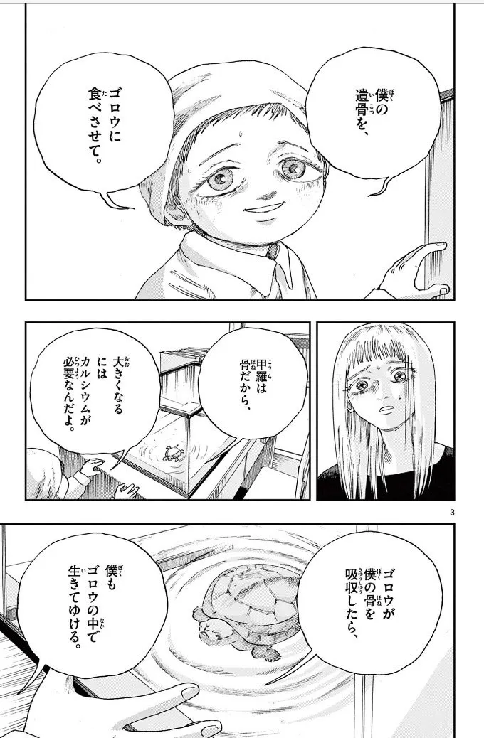 『亀』(2/9)