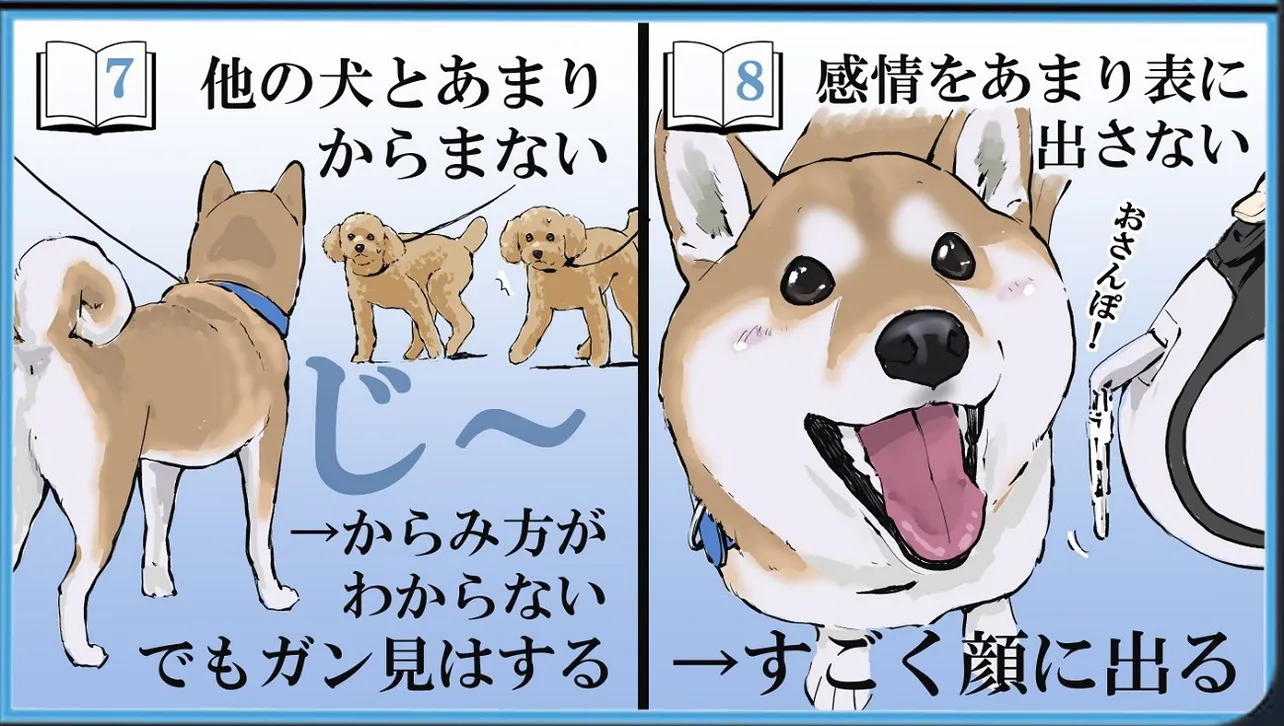 柴犬を実際に飼う前と後とでの認識の補正④