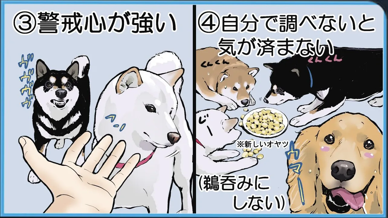 サイコパスに嫌がられる人の特徴を集めたらほぼ柴犬だと思った②