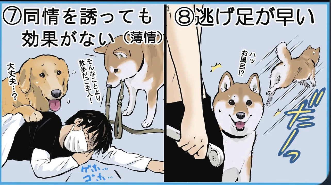 サイコパスに嫌がられる人の特徴を集めたらほぼ柴犬だと思った④