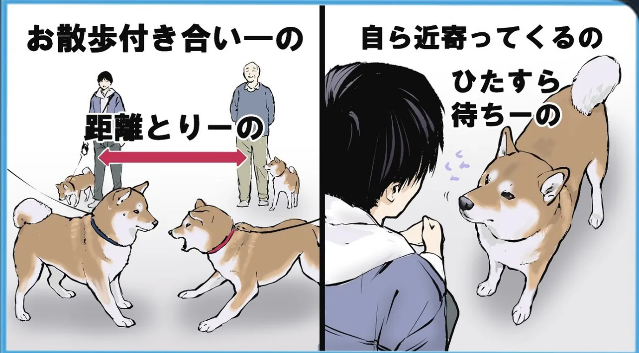 吠えてくる犬を攻略する一連の流れ②