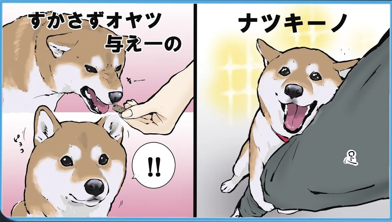 吠えてくる犬を攻略する一連の流れ③