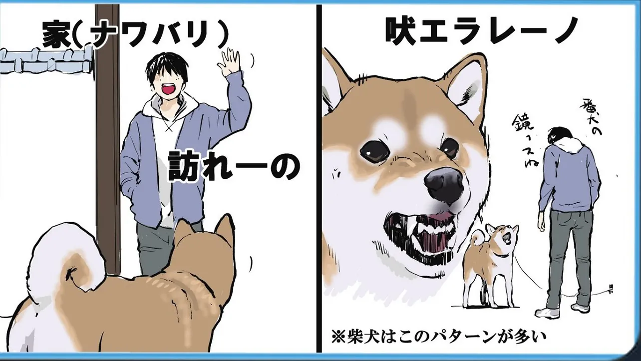 吠えてくる犬を攻略する一連の流れ④