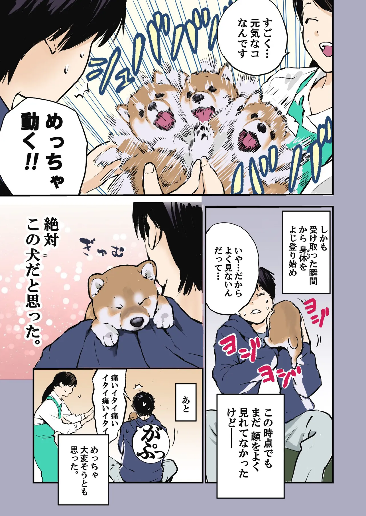 愛犬のハルさんと出会ってちょうど7年になりました！②