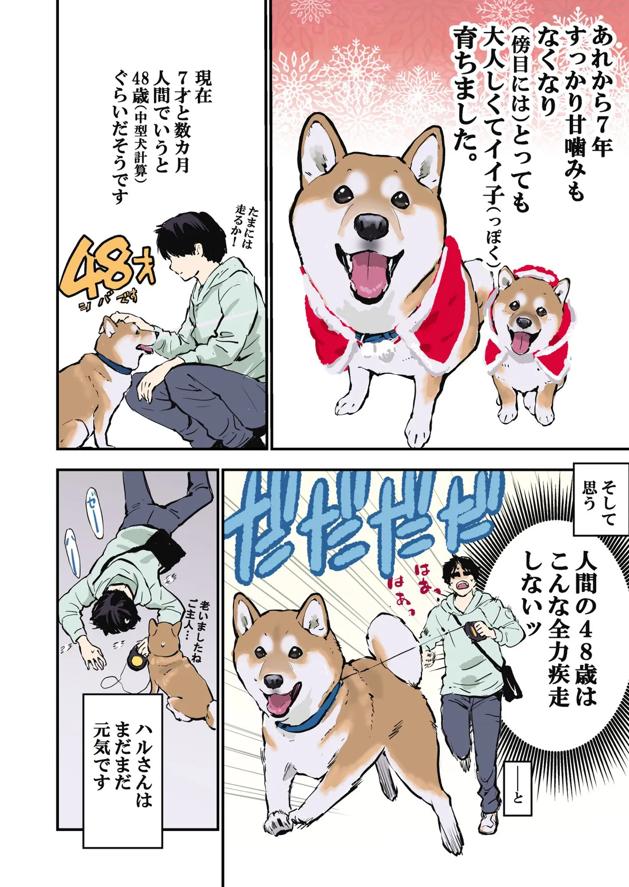 愛犬のハルさんと出会ってちょうど7年になりました！③