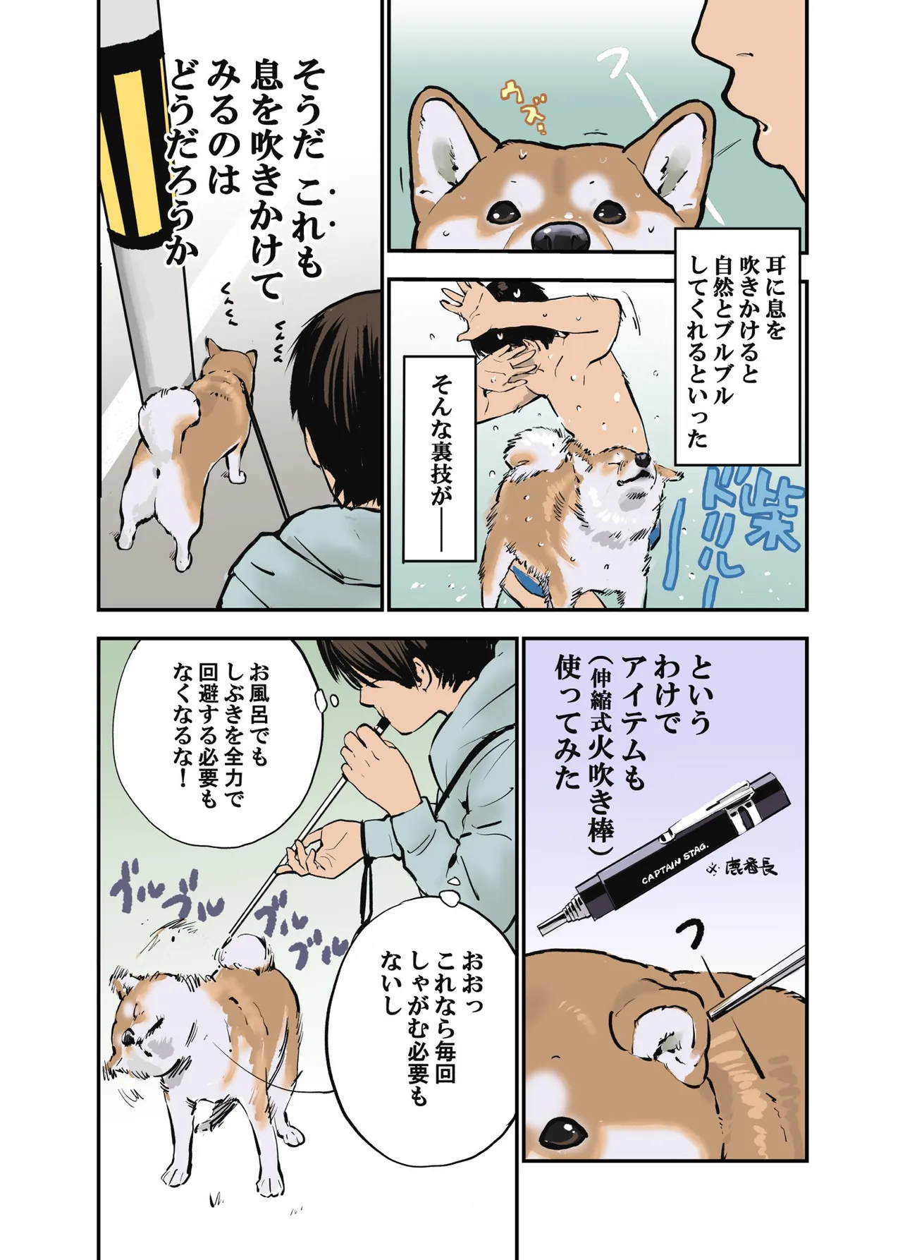 お散歩中ちっとも進まない犬を歩かせる方法考えてみた②