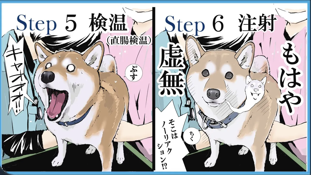 ウチの犬の狂犬病予防接種の一連の流れ③