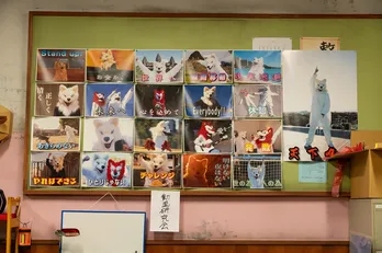 「マルス-ゼロの革命-」撮影現場に潜入…顔出しナシの“サムネ画像”中身は道枝駿佑本人だった