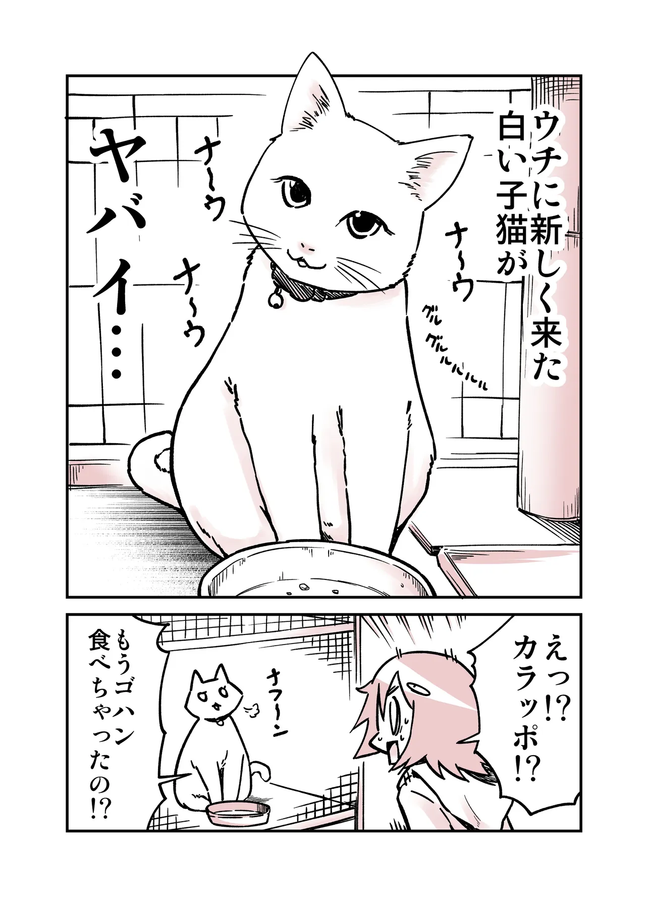 保護猫の子猫達の日記漫画(1／4)
