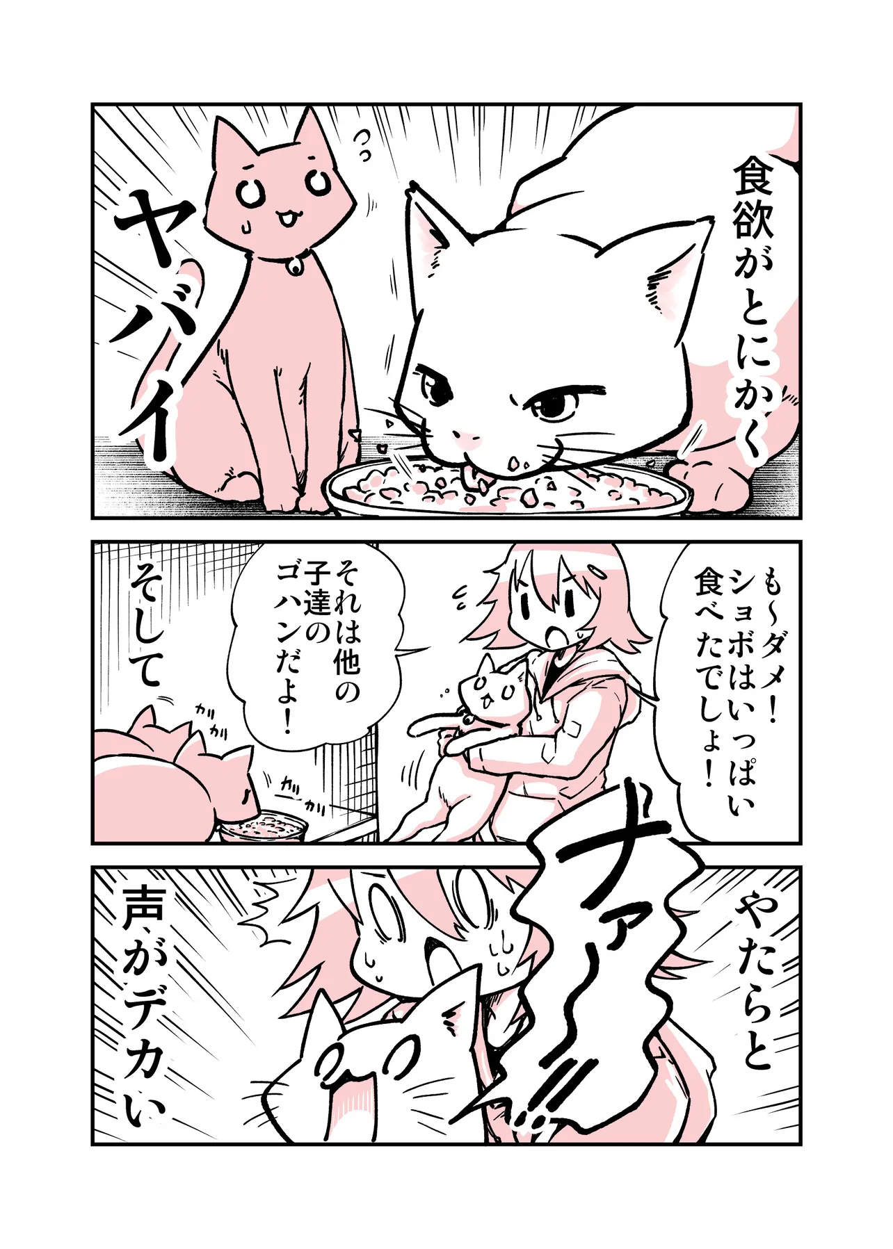 保護猫の子猫達の日記漫画(2／4)