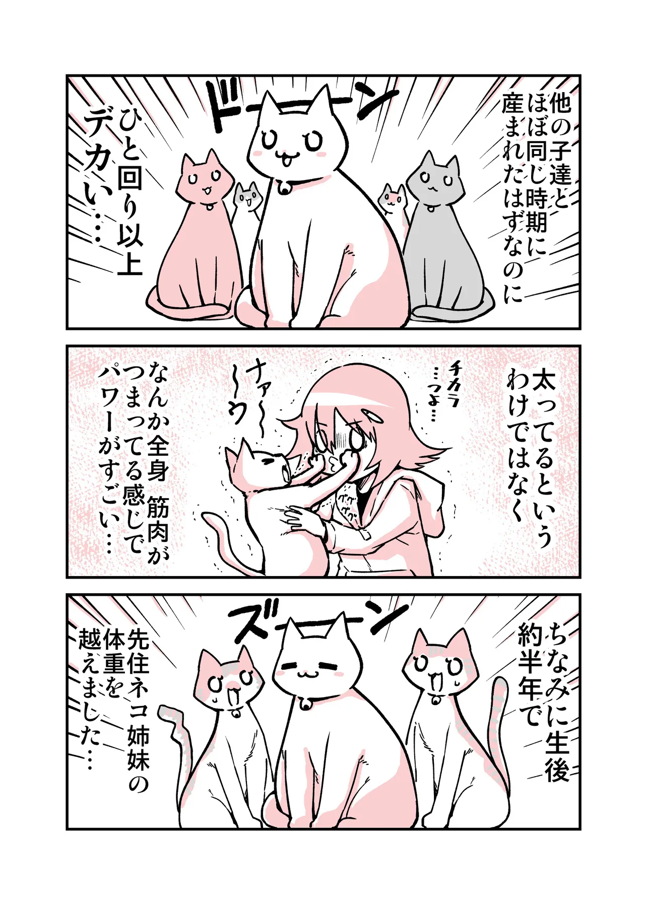 保護猫の子猫達の日記漫画(3／4)