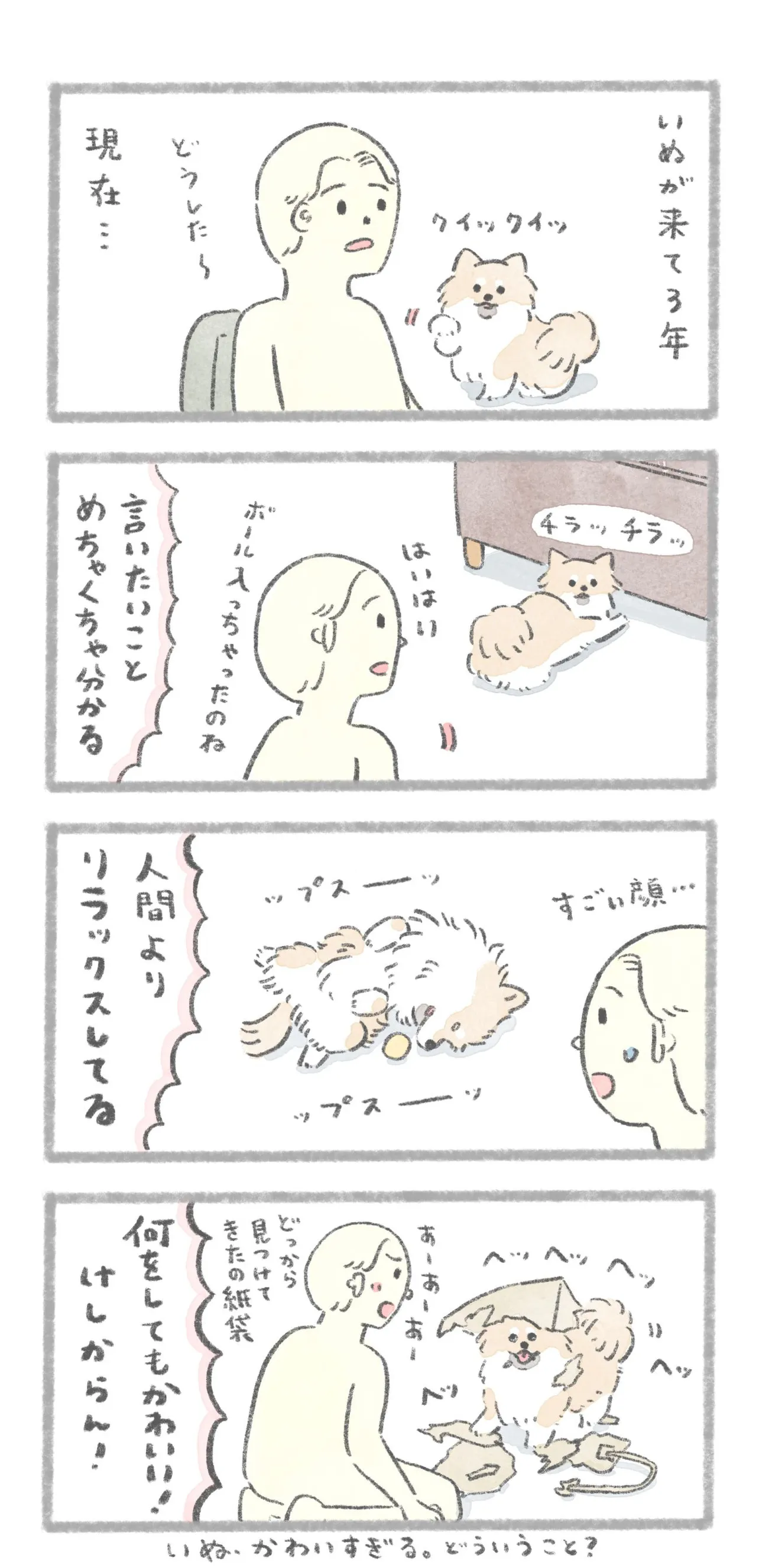 『いぬと暮らす』(2／2)